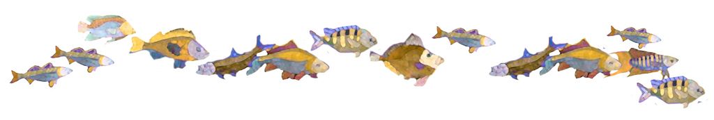 Hanaford Supermarkets / Decorative Interior Murals