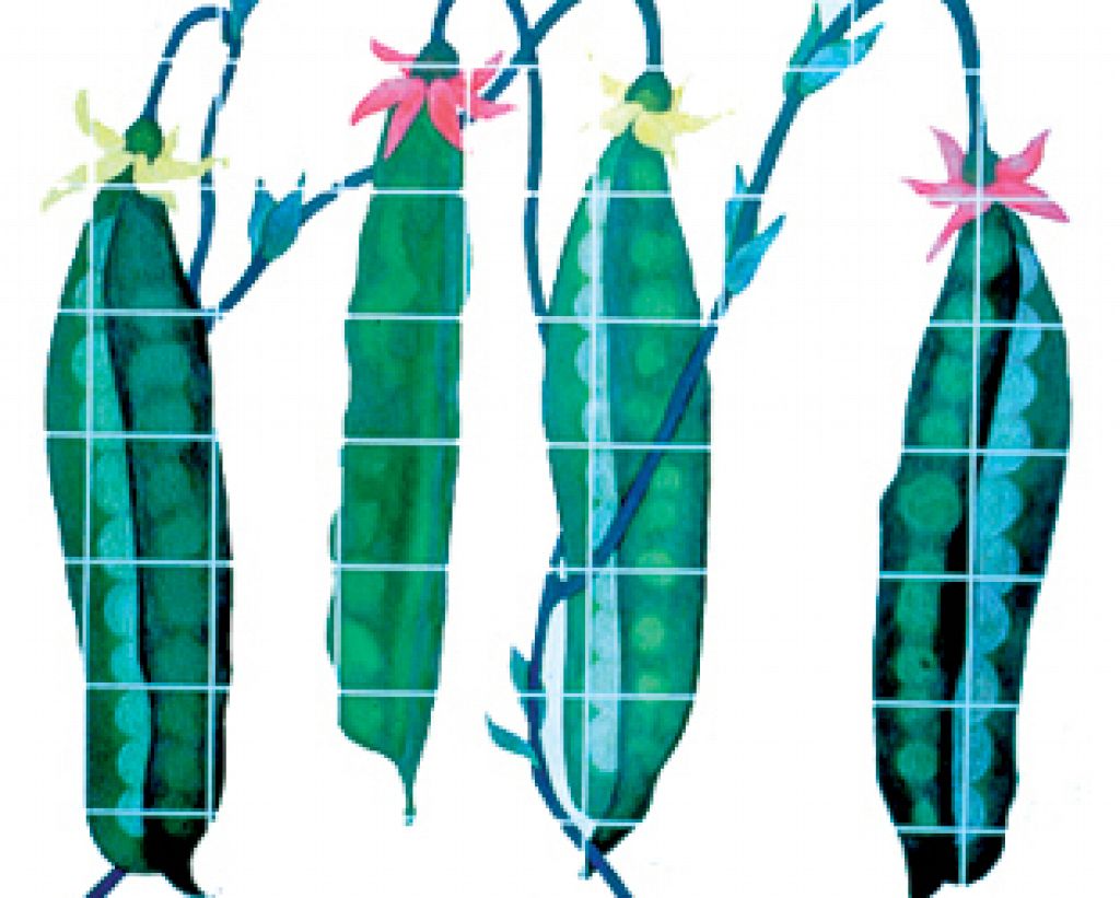 Century City Marketplace / Watercolor Painting / Tile Mural Design