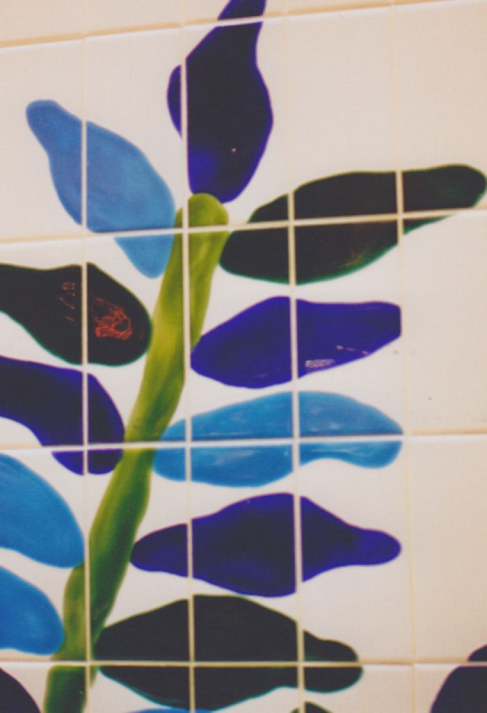 Mcwhiters Marketpalce / Hand Painted Glazed Tiles & Project Graphics